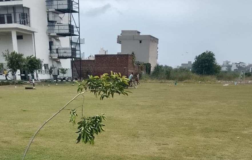 Baba MastNath University Rohtak Campus photo 1